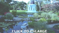 CLICK TO ENLARGE