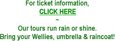 Tours run rain or shine!